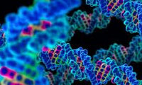 منشأ RNA