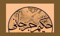 جایگاه علمی جرجانی