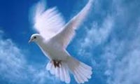  جلوه های حریت