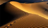 جلوگیری از پیش‌روی کویر
