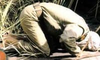  زلال عرفان (1)