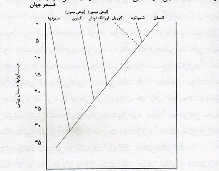 زمینه های زیست شناختی روان شناسی