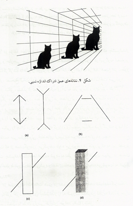 انواع و علل خطای دید انواع و علل خطای دید