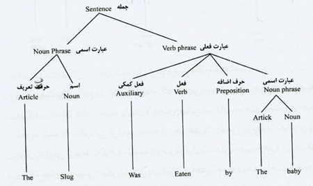 روان شناسیِ زبان روان شناسیِ زبان