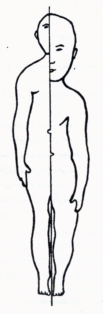 اصول رشد و تکامل در روانشناسی (1) اصول رشد و تکامل در روانشناسی (1)