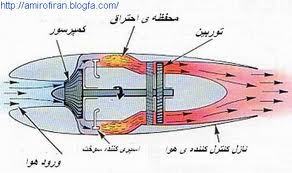 عوامل و طرق پیش‌گیری از آسیب دیدگی‌های ورزشی
