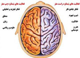 ریاضی، موسیقی، مرد، زن، چپ، راست