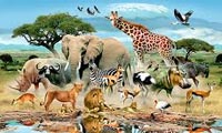 خود درمانی حیوانات