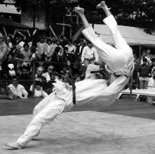 رشته جوجیتسو