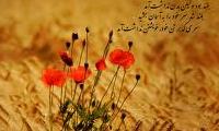غذای لذیذ از برگ درختان!