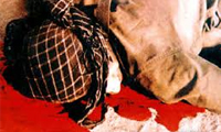  هیچ چیز جز شهادت