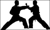 تاریخچه تانگ سو دو 