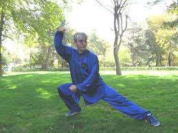 تاریخچه تای چی چوان