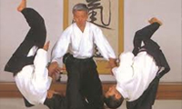تاریخچه رشته آی کی دو 