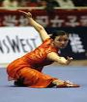 تاریخچه ورزش ووشو