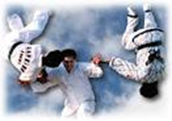 تاریخچه ورزش هاپکیدو