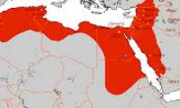 سادات در دوره مغول