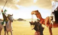 
   معاویه و سلسه سفیانی