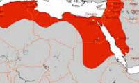 مناسبات فاطمیان و غزنویان‏