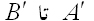 نظام دیوانه ی ریاضی