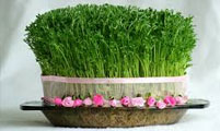  نوروز در فرهنگ شیعه