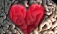   یک اسکن عاشقانه