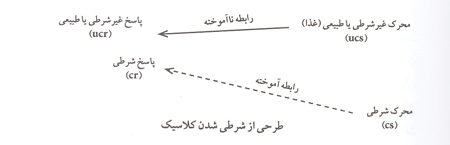 شرطی شدن تاریخ و معنای آن