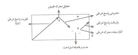 شرطی شدن تاریخ و معنای آن