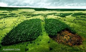 جمعیت رو به افزایش بشر و مشکلات آن