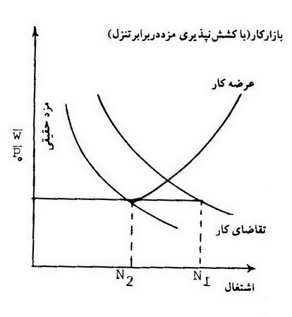 کینزی ها