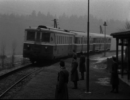 جهان آینده از آن مسلمانان است