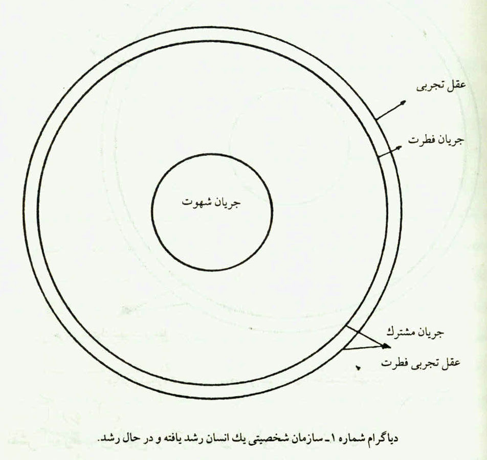 انسان در اسلام
