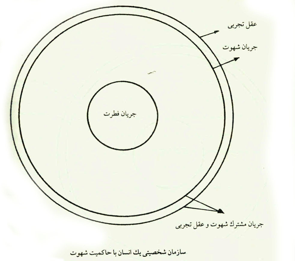 انسان در اسلام
