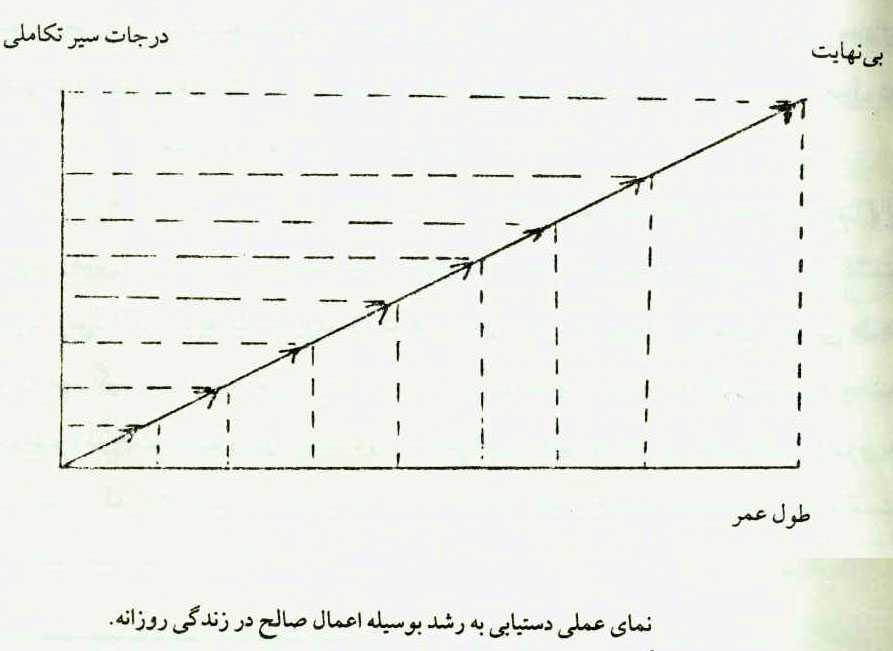 جهان هدفدار، بسترِ رشد و تکامل انسان