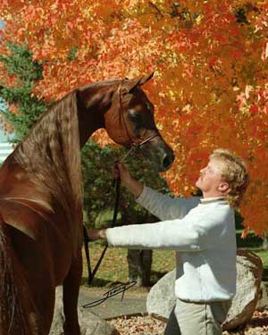 اسب و سوارکاری در ایران باستان
