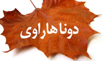  مانند یک برگ