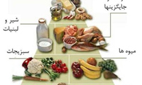 تغذیه ورزشی