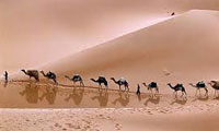 نویسنده ای شیفته راهِ ابریشم