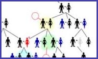  نظارت اجتماعی