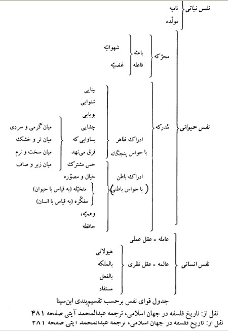 ارکان انسان از نگاه ابن سینا ارکان انسان از نگاه ابن سینا