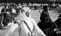 دوران معاویه و سلسله اموی
