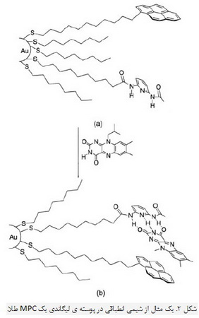 خوشه های طلا و نقره ی محافظت شده با تک لایه ها (1)