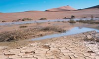 Desertification