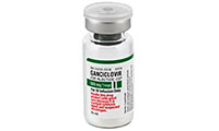 گانسیکلوویر (GANCICLOVIR)