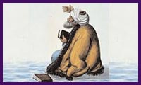 سنگپایه های فلسفه ابن رشد