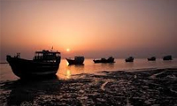 به یاد آتشی، شاعر شعر ناب جنوب