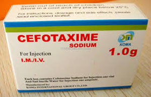 سفوتاکسیم (CEFOTAXIME) سفوتاکسیم (CEFOTAXIME)