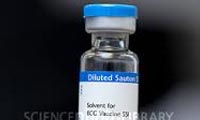  ب-ث-ژ (BCG VACCINE)