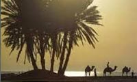  جغرافياي عربستان