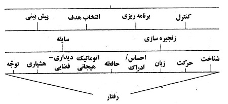 زبان و طرحريزي رفتار